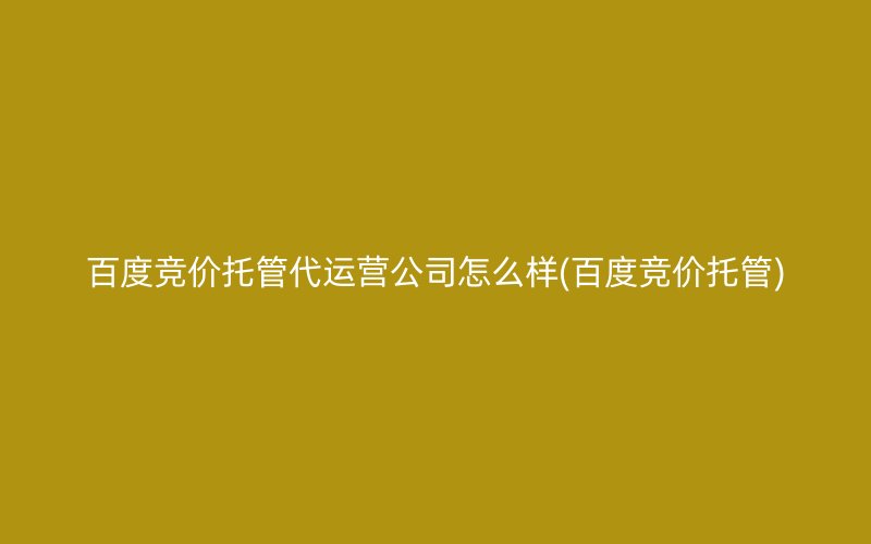 百度竞价托管代运营公司怎么样(百度竞价托管)
