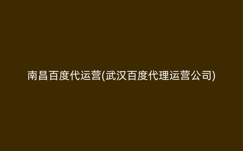 南昌百度代运营(武汉百度代理运营公司)