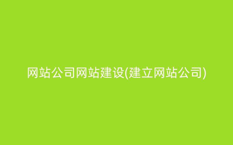网站公司网站建设(建立网站公司)