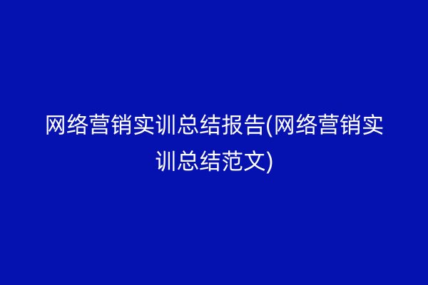 网络营销实训总结报告(网络营销实训总结范文)