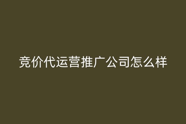 竞价代运营推广公司怎么样