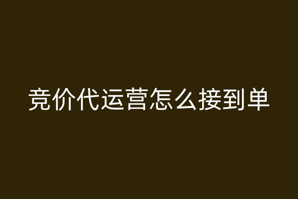 竞价代运营怎么接到单