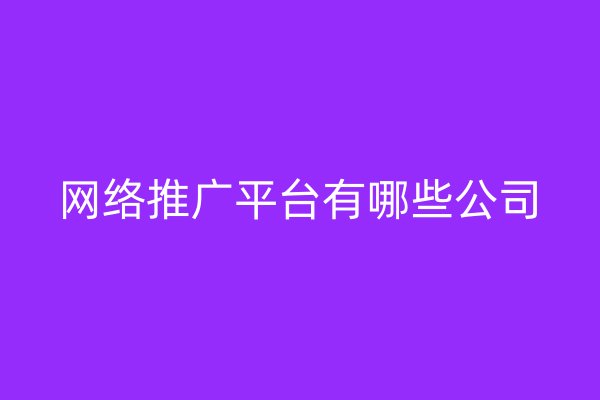网络推广平台有哪些公司