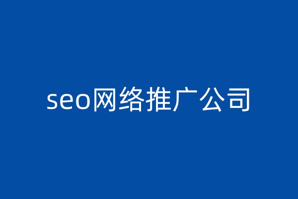 seo网络推广公司