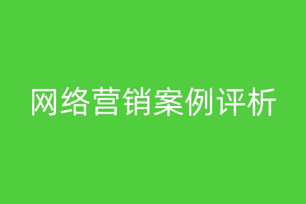 网络营销案例评析