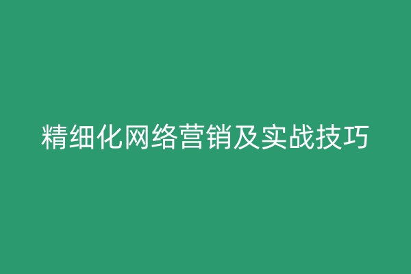 精细化网络营销及实战技巧