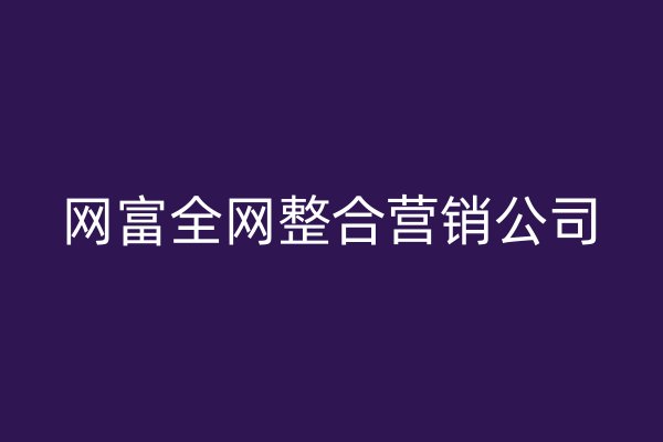 网富全网整合营销公司