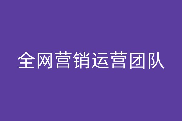全网营销运营团队
