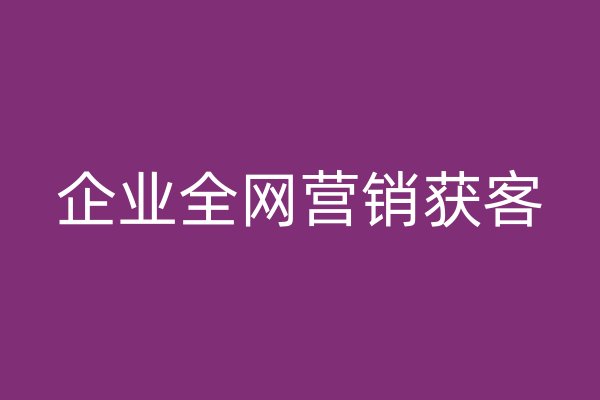 企业全网营销获客