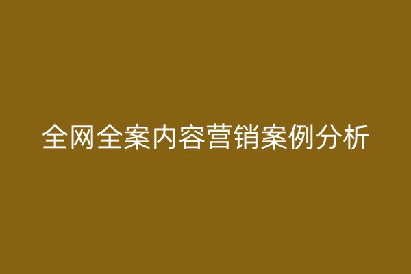 全网全案内容营销案例分析