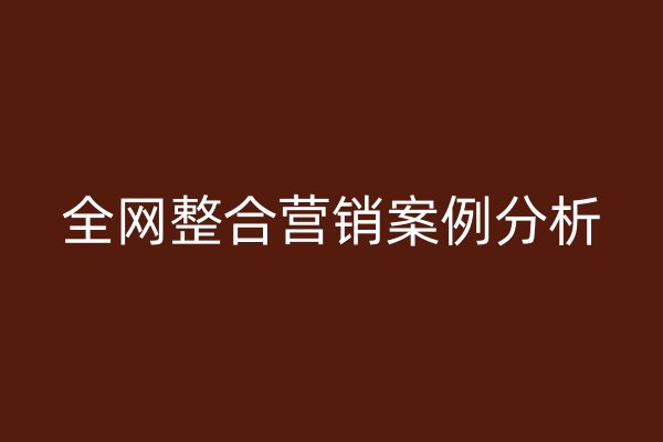 全网整合营销案例分析