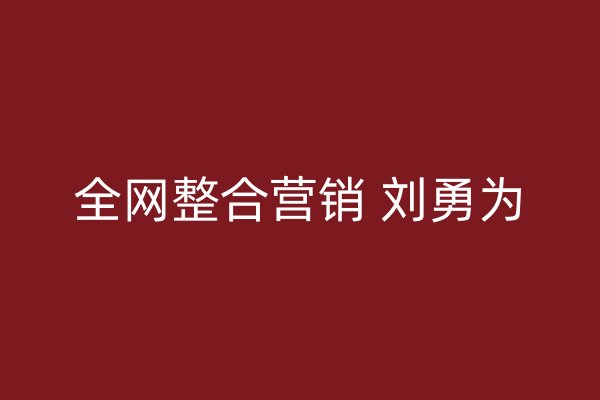 全网整合营销 刘勇为