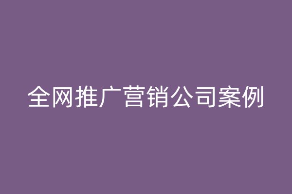 全网推广营销公司案例