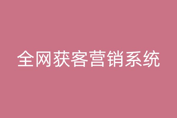 全网获客营销系统