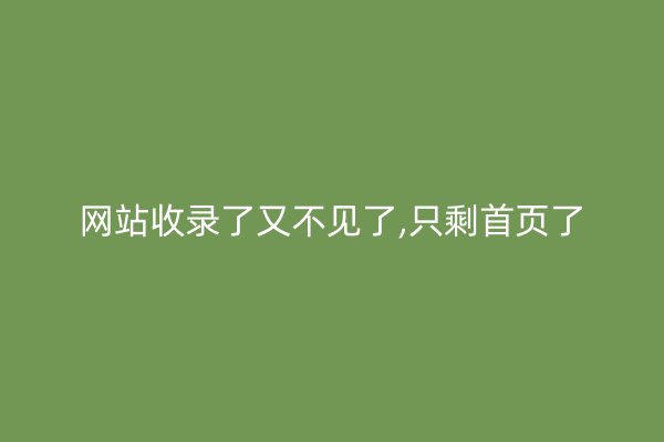 网站收录了又不见了,只剩首页了
