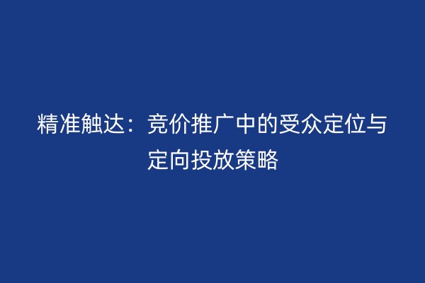 精准触达：竞价推广中的受众定位与定向投放策略