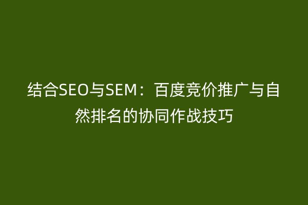 结合SEO与SEM：百度竞价推广与自然排名的协同作战技巧