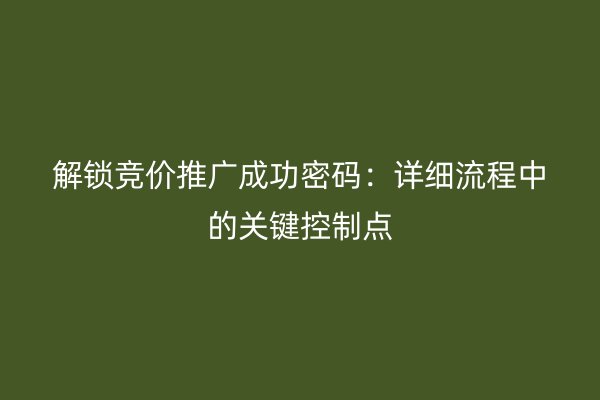 解锁竞价推广成功密码:详细流程中的关键控制点
