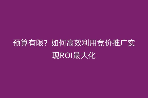 预算有限？如何高效利用竞价推广实现ROI最大化