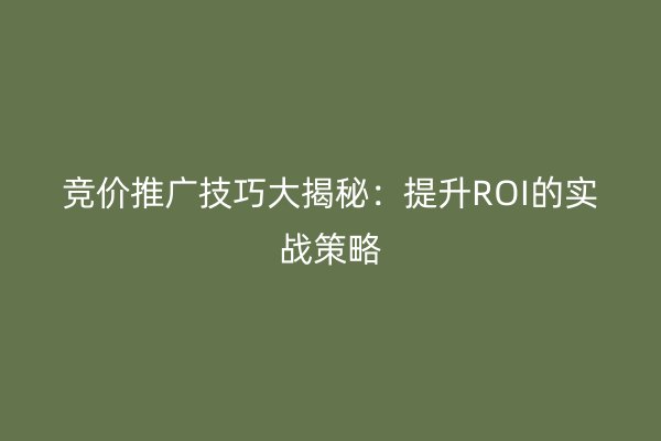 竞价推广技巧大揭秘：提升ROI的实战策略