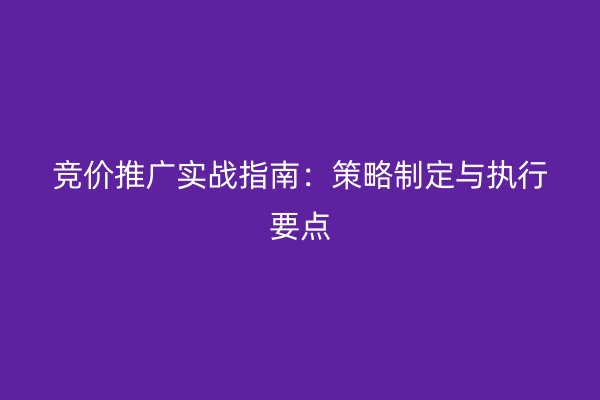 竞价推广实战指南：策略制定与执行要点