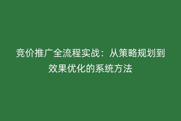 竞价推广全流程实战：从策略规划到效果优化的系统方法
