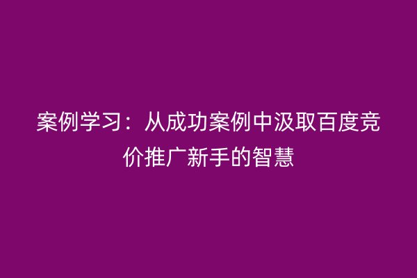 案例学习:从成功案例中汲取百度竞价推广新手的智慧