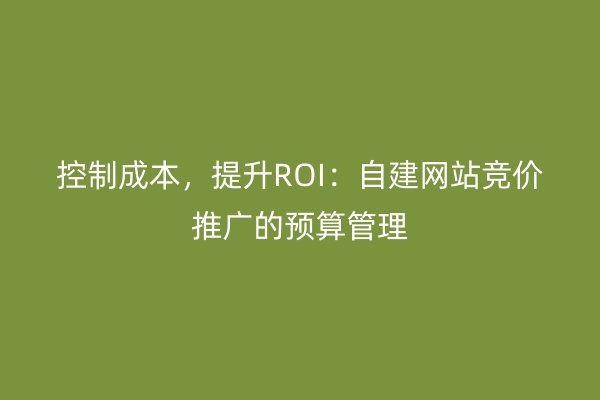 控制成本，提升ROI：自建网站竞价推广的预算管理