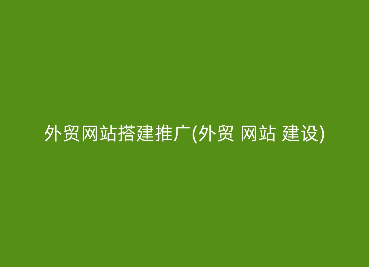 外贸网站搭建推广(外贸 网站 建设)