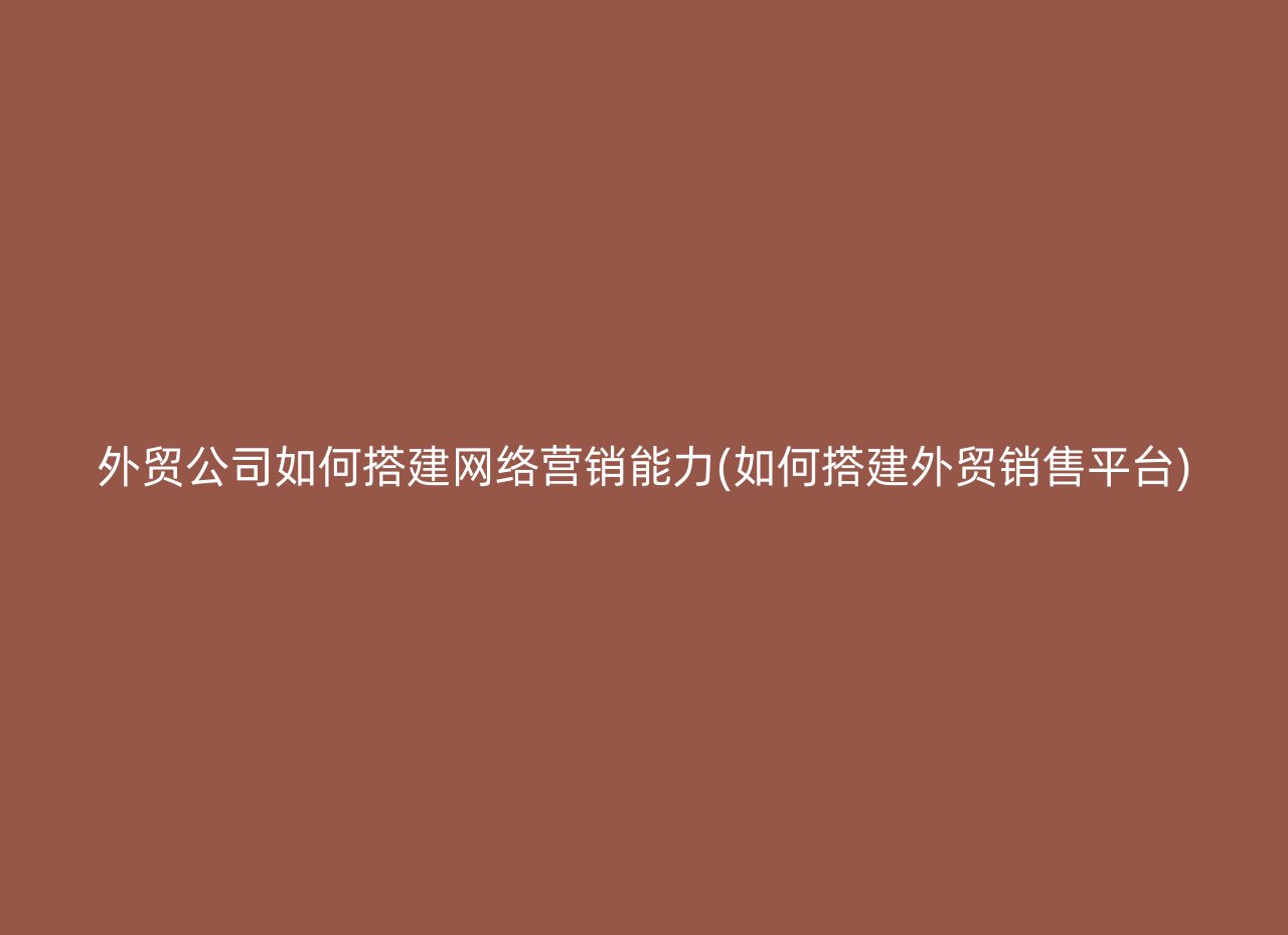 外贸公司如何搭建网络营销能力(如何搭建外贸销售平台)