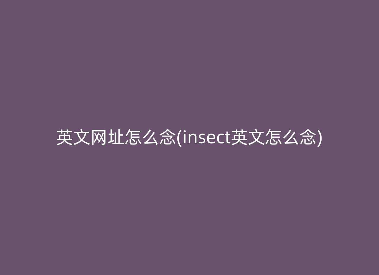 英文网址怎么念(insect英文怎么念)