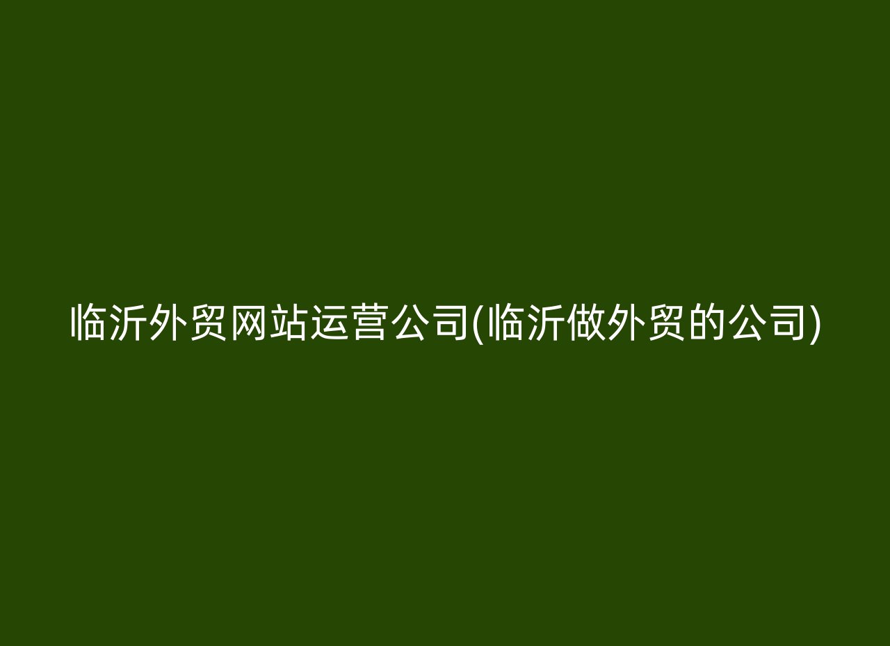 临沂外贸网站运营公司(临沂做外贸的公司)